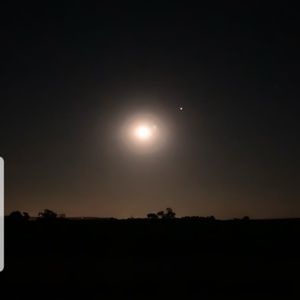 Meet your Posher, Darby